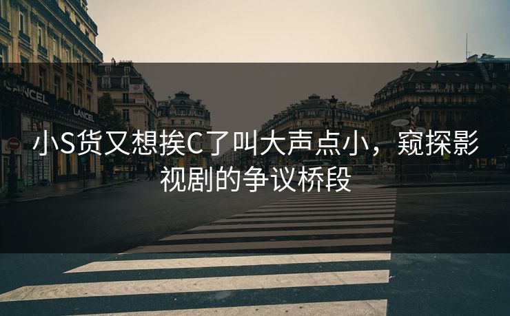 小S货又想挨C了叫大声点小，窥探影视剧的争议桥段