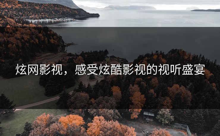 炫网影视，感受炫酷影视的视听盛宴