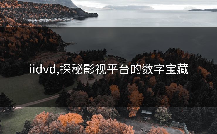 iidvd,探秘影视平台的数字宝藏