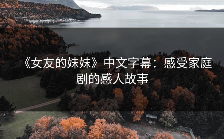 《女友的妺妺》中文字幕：感受家庭剧的感人故事
