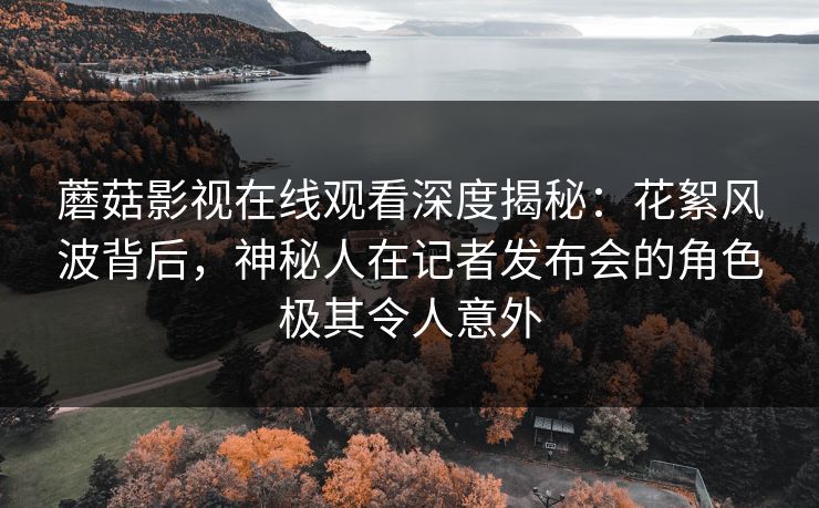 蘑菇影视在线观看深度揭秘：花絮风波背后，神秘人在记者发布会的角色极其令人意外