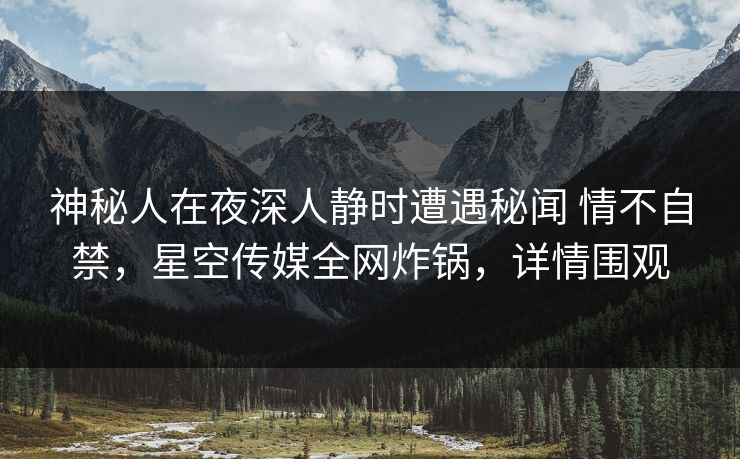 神秘人在夜深人静时遭遇秘闻 情不自禁，星空传媒全网炸锅，详情围观