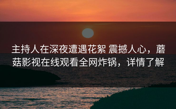 主持人在深夜遭遇花絮 震撼人心，蘑菇影视在线观看全网炸锅，详情了解