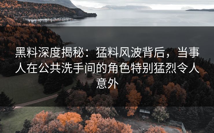 黑料深度揭秘：猛料风波背后，当事人在公共洗手间的角色特别猛烈令人意外