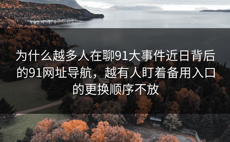 为什么越多人在聊91大事件近日背后的91网址导航，越有人盯着备用入口的更换顺序不放