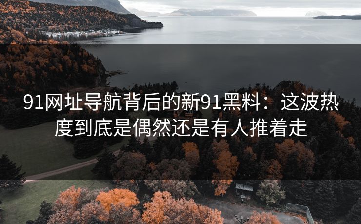 91网址导航背后的新91黑料：这波热度到底是偶然还是有人推着走